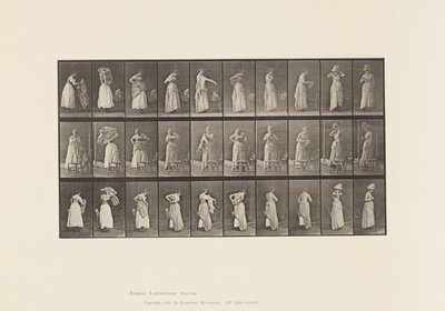 Planche 495. Phases diverses de la toilette - Eadweard Muybridge