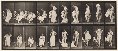 Planche 498. Phases diverses de la toilette, 1872-1885 - Eadweard Muybridge