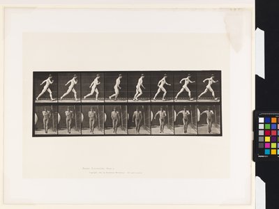 Planche 4. Marche - Eadweard Muybridge