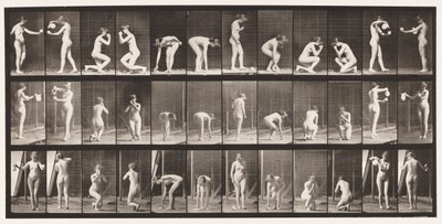 Plaque 501. Divers, se pencher, s