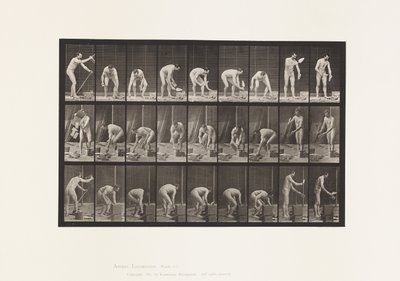 Planche 505. Maçonnerie - Eadweard Muybridge