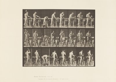 Planche 507. Charpenterie - Eadweard Muybridge