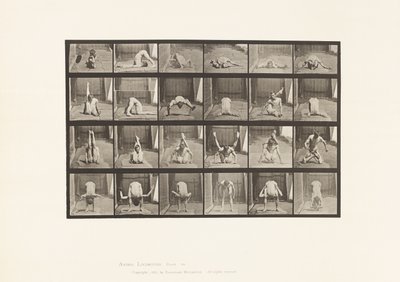 Planche 511. Contorsions au sol - Eadweard Muybridge