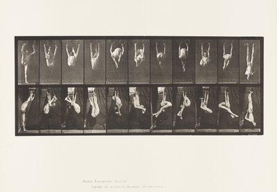 Planche 512. Contorsions sur anneaux - Eadweard Muybridge