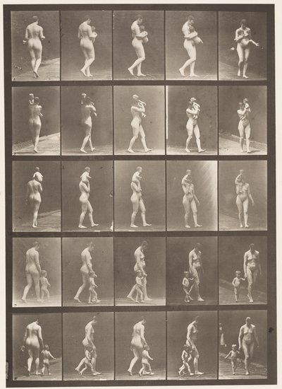 Planche 528. A,B,C - Eadweard Muybridge