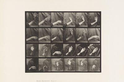 Mouvement de la main; Battre la mesure - Eadweard Muybridge