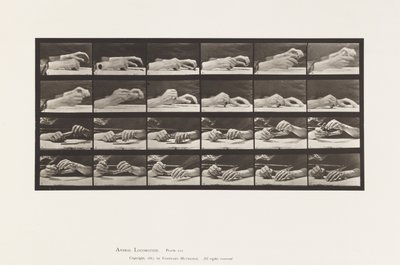 Mouvement de la main; mains changeant de crayon - Eadweard Muybridge
