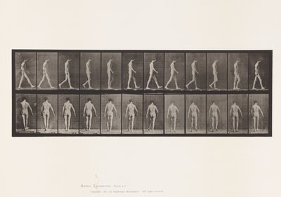 Ataxie locomotrice; Marche - Eadweard Muybridge
