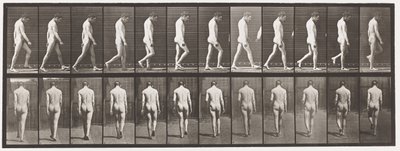 Planche 549. Épilepsie ; marche - Eadweard Muybridge