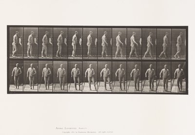 Planche 552. Hémiplégie; marche avec une canne, 1885 - Eadweard Muybridge
