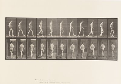 Planche 554. Ataxie locomotrice ; marche - Eadweard Muybridge