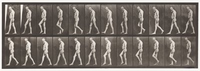 Planche 555. Atrophie musculaire des jambes; adulte, A,B, marche, 1885 - Eadweard Muybridge
