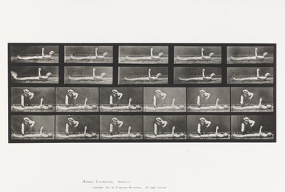 Planche 556. Chorée locale; A, B, en position couchée - Eadweard Muybridge