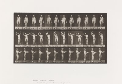 Chorée locale; A, B, C, en position debout - Eadweard Muybridge