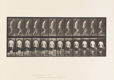 Planche 558. Paraplégie; partielle; marche, 1885 - Eadweard Muybridge