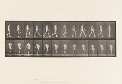 Locomotion ataxique; Marche, 1885 - Eadweard Muybridge