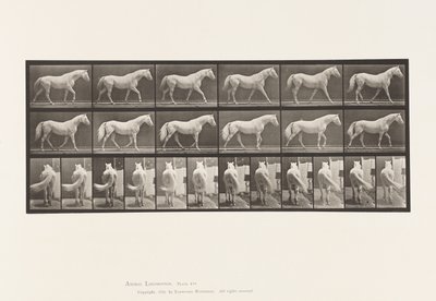 Planche 576. Marche; Libre; Cheval Gris Clair Eagle - Eadweard Muybridge