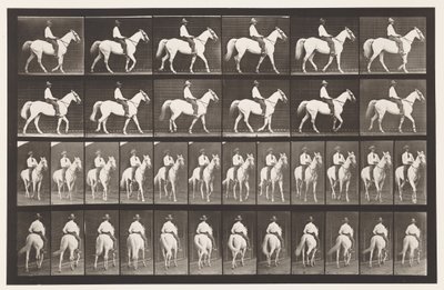 Marche; Selle; Cheval blanc Elberon - Eadweard Muybridge