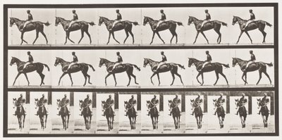Marche; Selle; Jument baie pur-sang Annie G., 1885 - Eadweard Muybridge