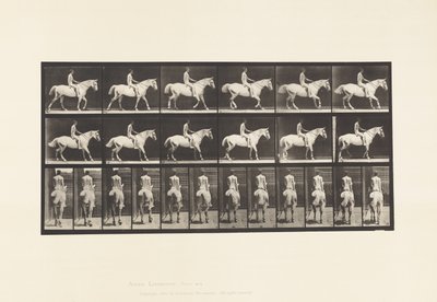 Planche 582. Marche; Selle; Cavalier, 43, Nu; Cheval Gris Clair Smith - Eadweard Muybridge