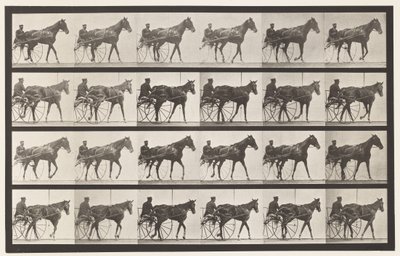 Planche 587. Marcher; Sulky; Jument alezane Nellie Rose - Eadweard Muybridge