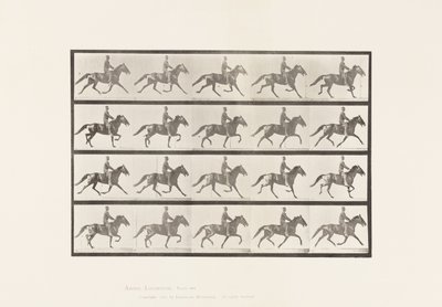 Planche 591. Bercer - Eadweard Muybridge