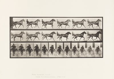 Planche 594. Balancement (Amble) : Sulky; Cheval Brun Pronto - Eadweard Muybridge