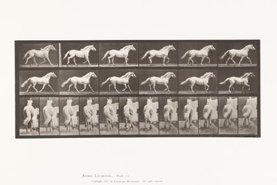 Planche 596. Trot; Libre; Cheval Gris Clair Eagle - Eadweard Muybridge