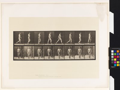 Planche 5. Marche - Eadweard Muybridge