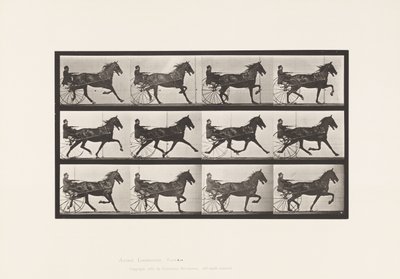 Planche 606. Trot; Sulky; Cheval Bai, Reuben - Eadweard Muybridge