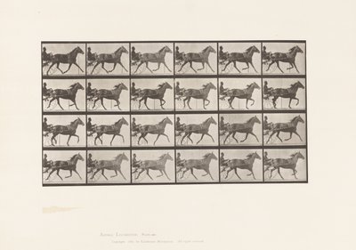 Planche 607. Trotter; Sulky; Jument baie, Lizzie M. - Eadweard Muybridge