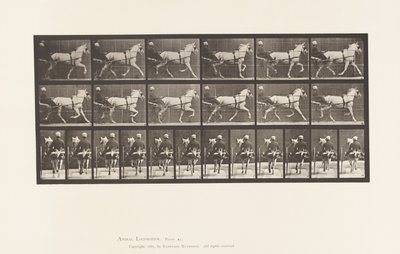 Planche 611. Trot; Sulky; Jument Grise, Katydid - Eadweard Muybridge
