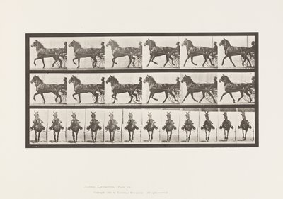 Planche 612. Trot; Sulky; Cheval Bai, Dereumd - Eadweard Muybridge