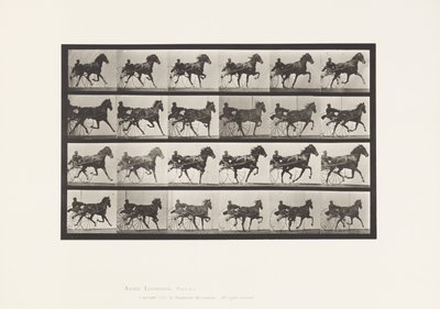 Planche 613. Trot; Sulky; Jument Alezane Nellie Rose - Eadweard Muybridge