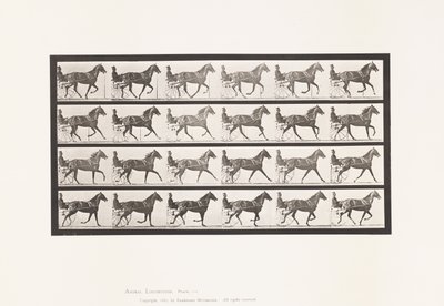 Planche 614. Trot; Passage au Galop; Jument Alezane Flode Holden - Eadweard Muybridge