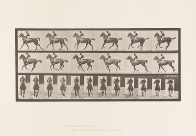 Planche 621. Petit Galop; Selle; Jument Pur-Sang Bai Annie 6 - Eadweard Muybridge