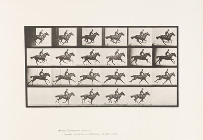 Planche 625. Galop; Cheval Pur-Sang Bai Bouquet - Eadweard Muybridge
