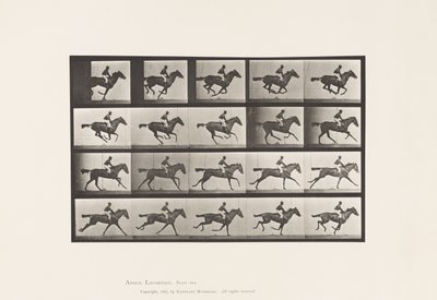 Planche 627. Galop; Jument Pur-Sang Baie Annie G. - Eadweard Muybridge