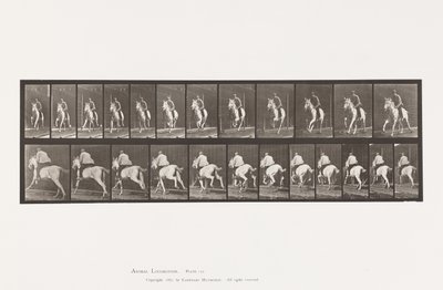 Planche 630. Galop; Selle; Jument Grise Pandora - Eadweard Muybridge