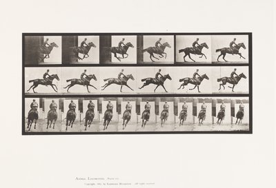 Planche 633. Galop; Selle; Cheval Pur-Sang Bai Bouquet - Eadweard Muybridge