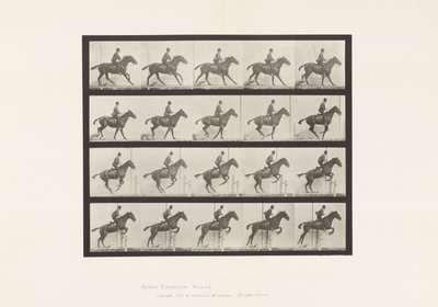 Planche 636. Sauter une Haie; Selle; Préparation pour le Saut - Eadweard Muybridge