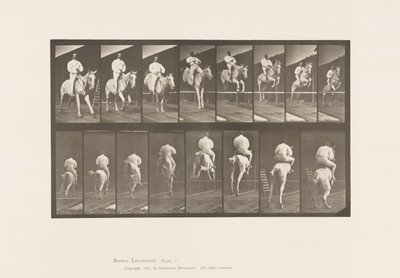 Planche 644. Sauter une haie; Selle; Franchissement et atterrissage - Eadweard Muybridge