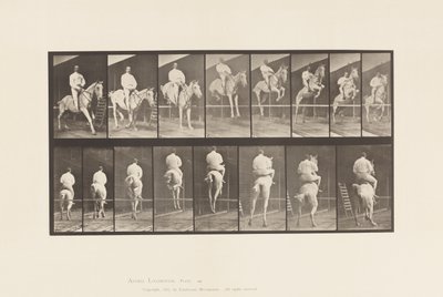 Planche 645. Sautant une Haie; Selle; Franchissant et Atterrissant - Eadweard Muybridge