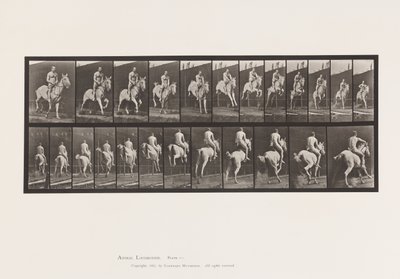 Sauter une haie; Selle; Cavalier, Nu - Eadweard Muybridge