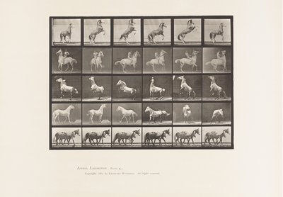 Planche 652. A, B, C, D, E, Chevaux se cabrant, etc. - Eadweard Muybridge