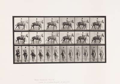 Planche 653. Marchant; Selle; Boitant, Patte Avant Droite; Cheval-Buckskin - Eadweard Muybridge