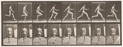 Planche 65. Courir à toute vitesse, 1872-1885 - Eadweard Muybridge