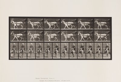 Planche 678. Chèvre; Trottant, en Sulky - Eadweard Muybridge
