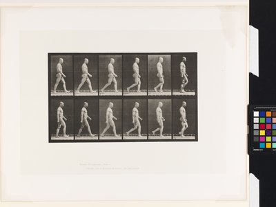 Planche 6. Marche - Eadweard Muybridge