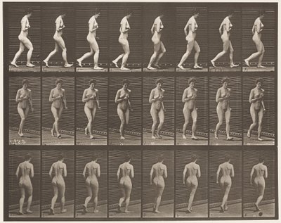 Planche 70. Courir, 1872-1885 - Eadweard Muybridge